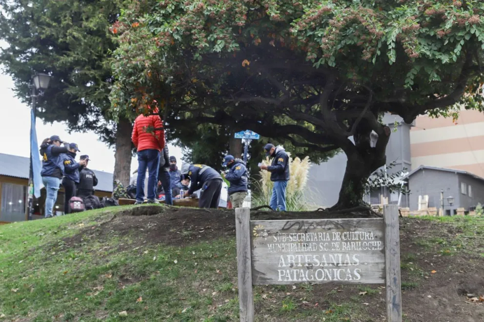 Adolescentes demorados y mayores detenidos: fuerte operativo de la Federal en pleno centro de Bariloche
