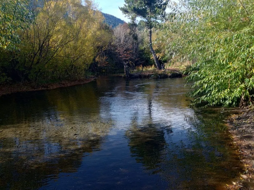 Delegación Catedral realiza trabajos de prevención para el invierno