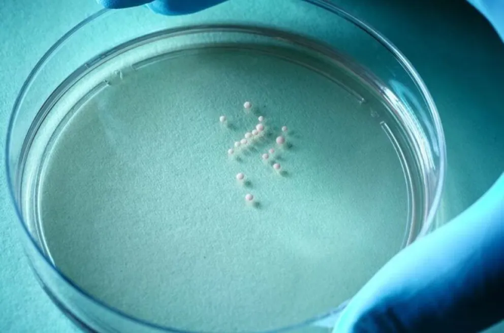 Un innovador parche genético podría cambiar el juego para personas con trastornos asociados al autismo