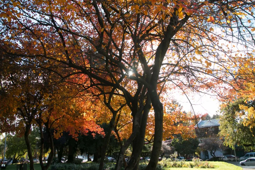 Las lluvias llegarían este jueves.