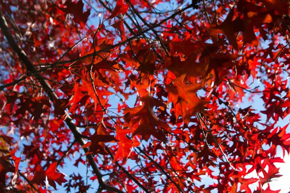 El domingo hay cambios fuertes con respecto a la temperatura y los vientos.