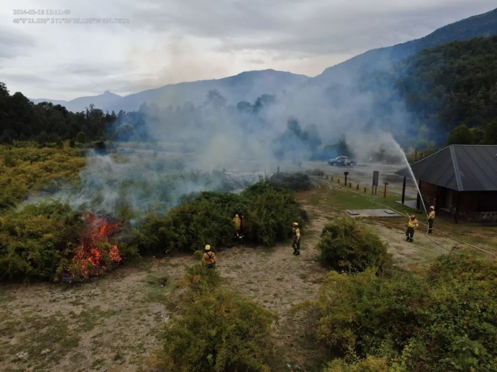 Realizan tareas de reducción de material combustible