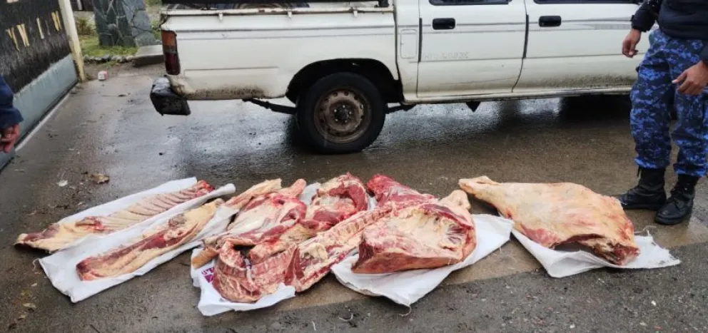 Lo sorprendieron con un ternero faenado y transportado irregularmente