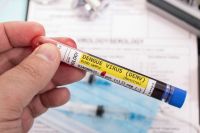 Dengue: se registraron 63.399 contagios y 42 muertos en la última semana en el país