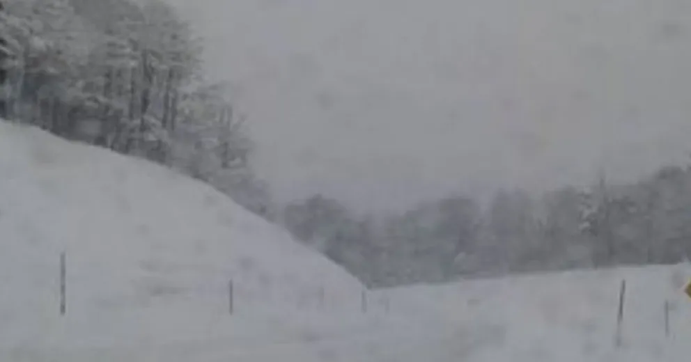Ya reabrió el Paso Cardenal Samoré