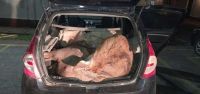 Gendarmería descubrió a dos sujetos que transportaban ciervos colorados en el baúl de un auto