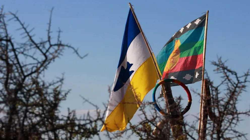 ¿Cuántas personas se reconocen indígenas y afrodescendientes en Río Negro?