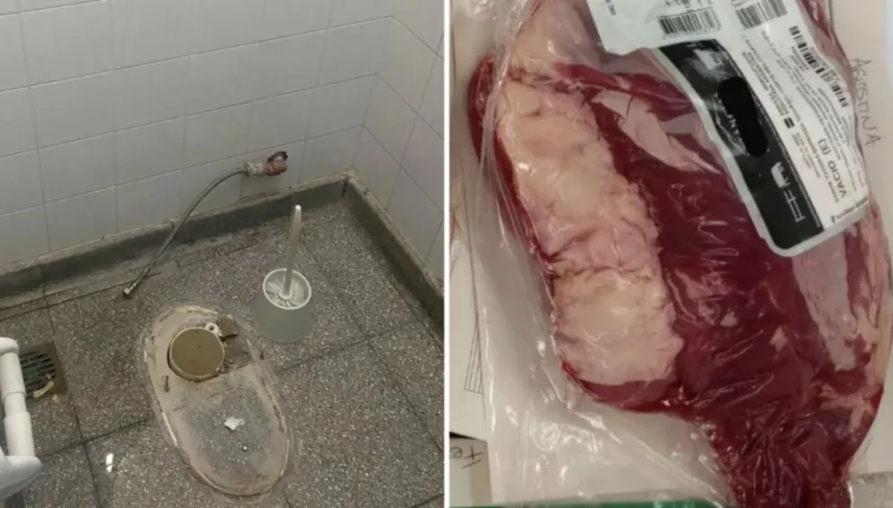 Le robaron el inodoro y 10 kilos de carne mientras dormía