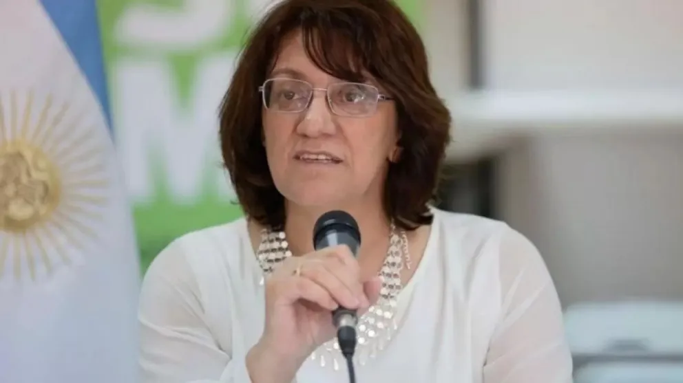 Mónica Silva advierte sobre factores determinantes para acompañar la Ley Bases en el Senado