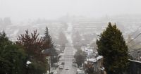 ¿Cuáles son las calles más afectadas de Bariloche por la nevada?