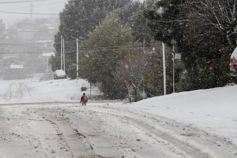 Desde Protección Civil instan a la comunidad a no salir de sus hogares si no es estrictamente necesario 