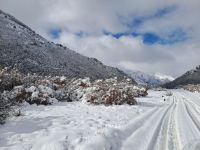 Estado de caminos en área protegida ante nevadas: recomendaciones y condiciones de circulación