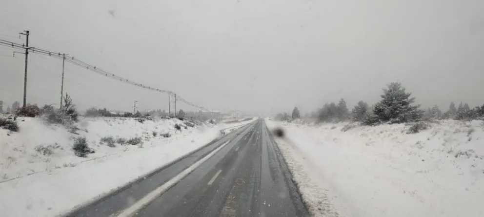 ¿Cuál es el estado de las rutas del sur con estas nevadas intensas?