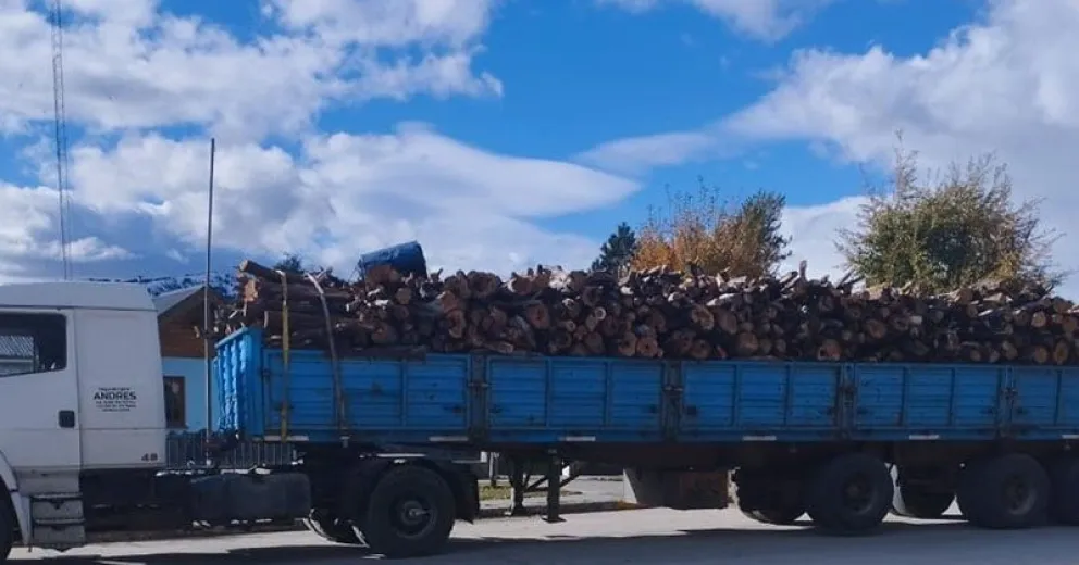 Incautan más de 60 metros de leña 