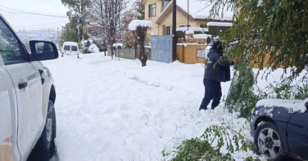 El municipio pide a los vecinos y comerciantes que limpien sus veredas