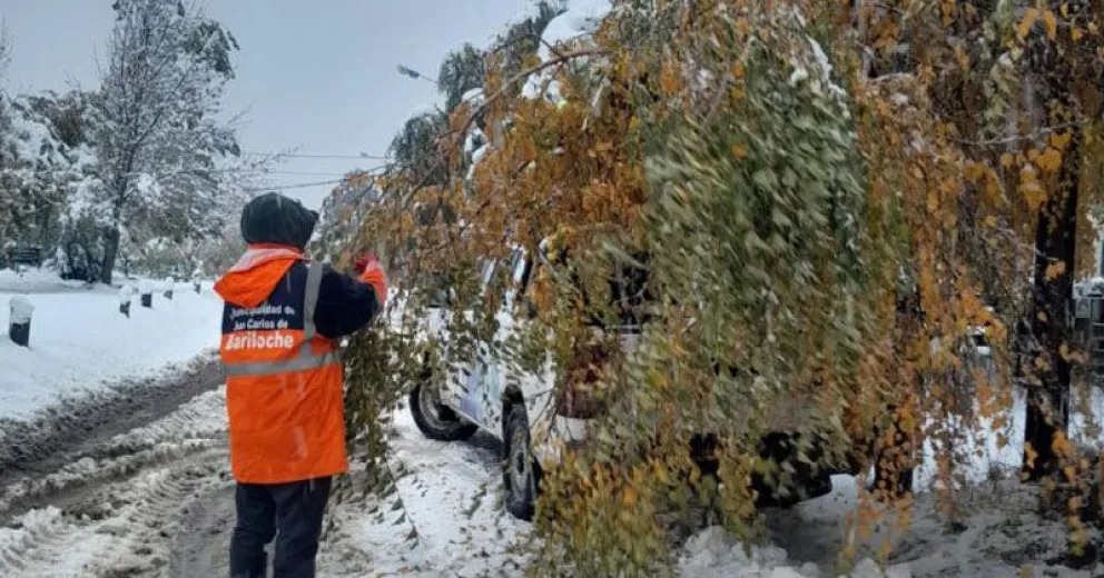 Los trabajos que desarrollan delegaciones municipales en diferentes barrios por la nieve