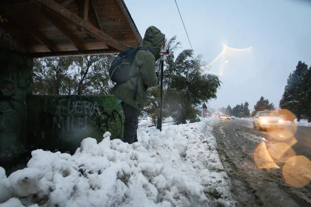 A ingeniárselas: hoy no funcionan los colectivos en Bariloche por el paro general