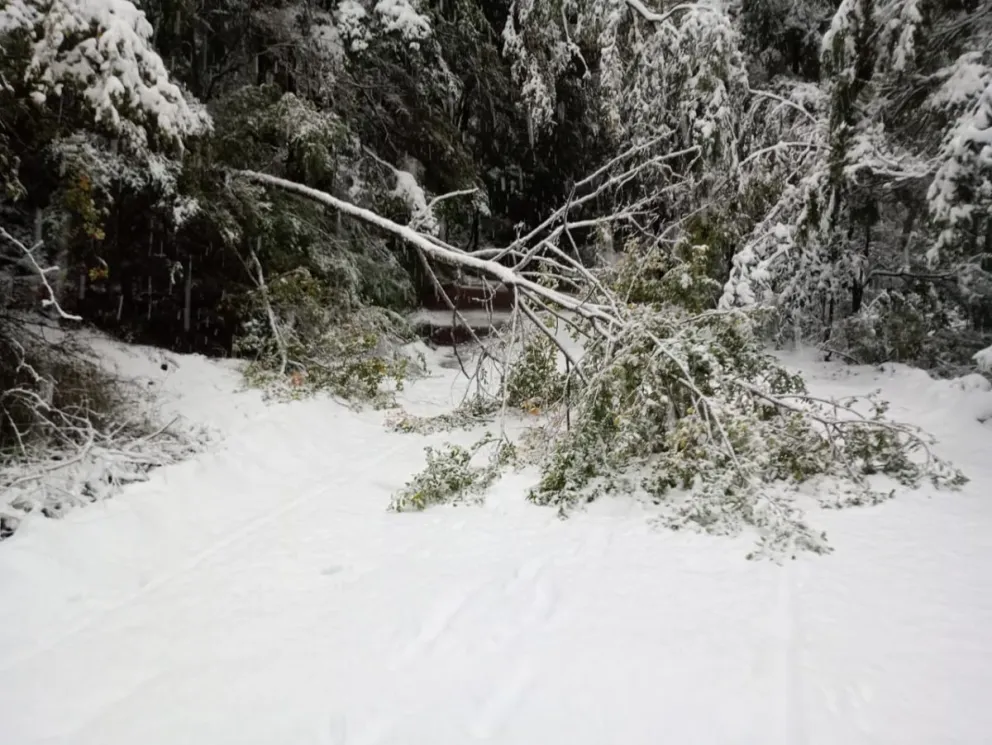 Ruta provincial Nº48 y paso fronterizo Hua Hum cerrados hasta nuevo aviso