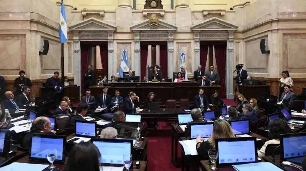 Weretilneck en el comienzo del tratamiento de la Ley Bases en el Senado: "En defensa de los intereses de nuestra provincia"