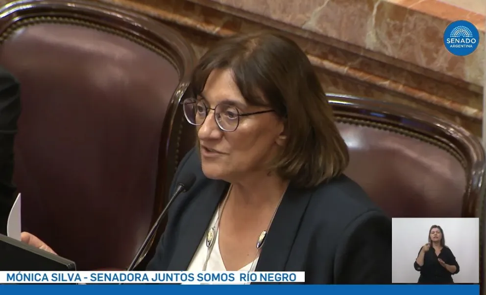 “Hoy el tratamiento de la Ley de Bases es más flexible”