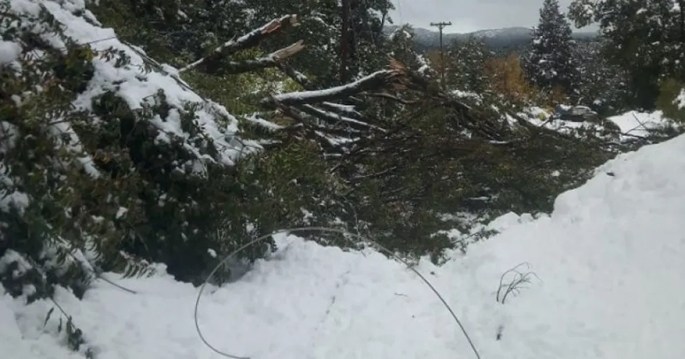 Vecinos llevan tres días sin servicio eléctrico