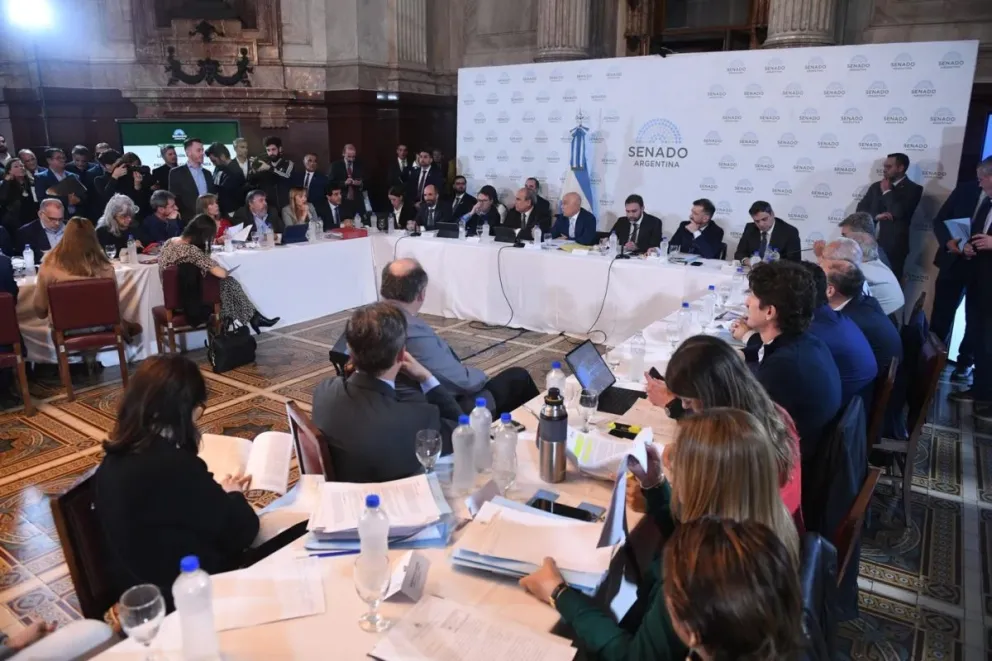 Alertan sobre el impacto del RIGI en la industria nacional