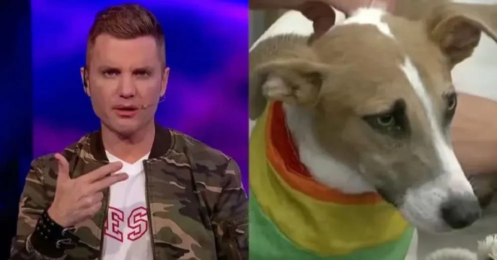 Santiago del Moro apuntó a quienes quieren sacar al perro Arturo de Gran Hermano: "Él está con..."