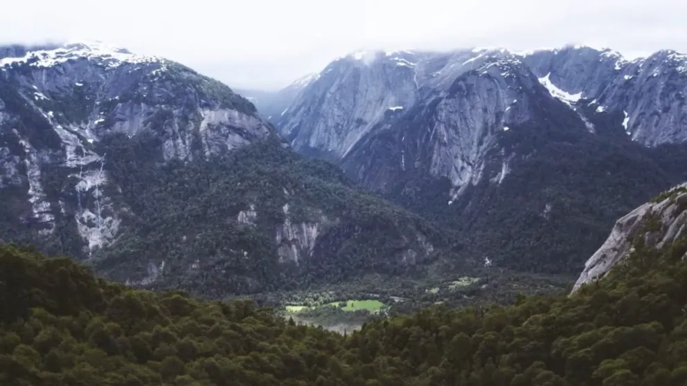 Intentan recaudar 80 millones de dólares para comprar 133.000 hectáreas y crear un corredor biológico