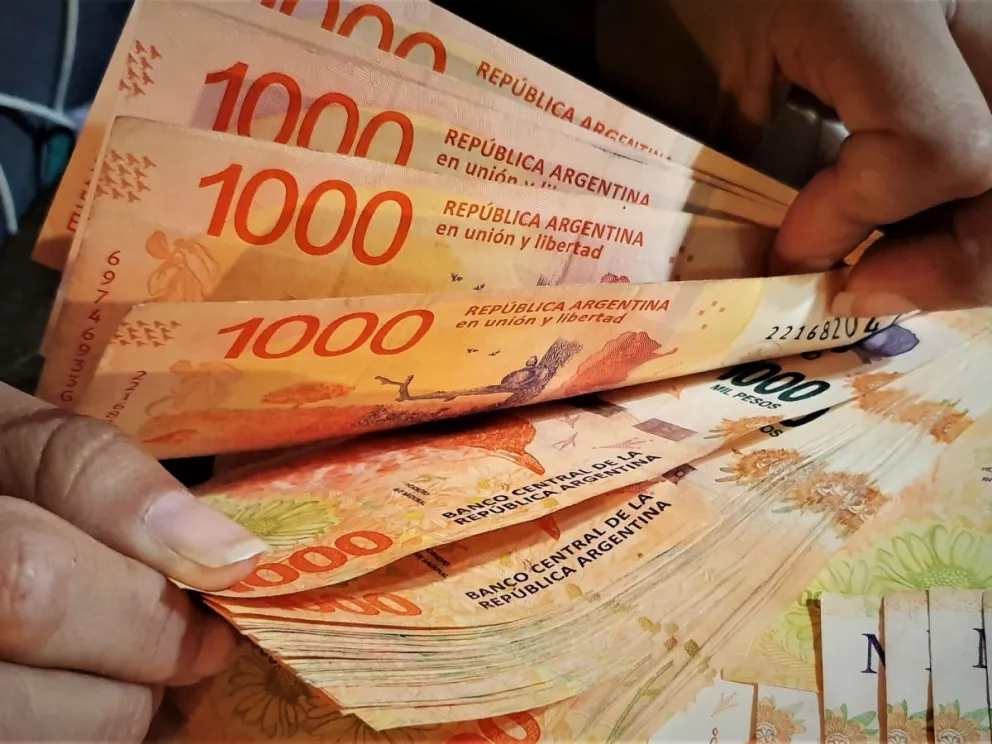 Aguinaldos de Anses: quiénes cobran en junio 2024