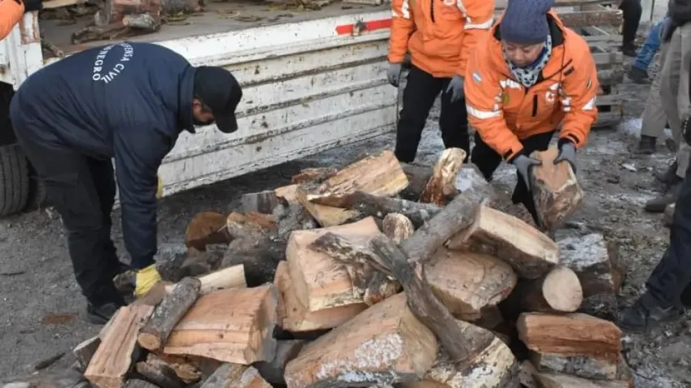 Plan Calor Leña: asistencia a 400 familias de la región más fría