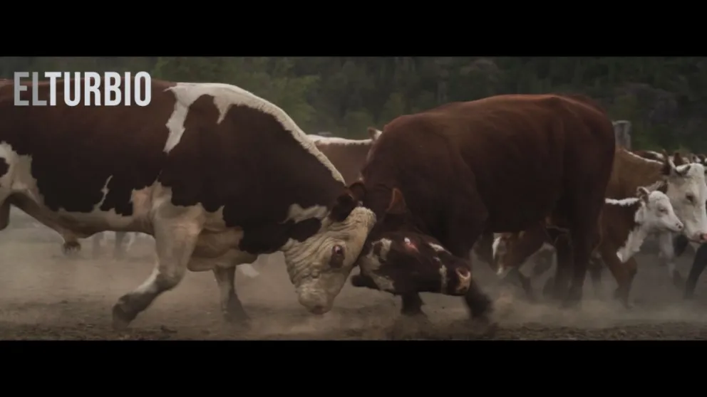 Soledad, trabajo y belleza en un paraje patagónico sin igual