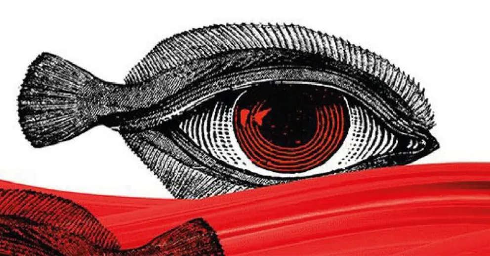 Está abierta la preinscripción a la diplomatura en Narrativas Creativas de No Ficción