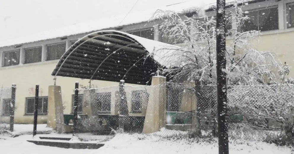 Invitan a la Feria de Colores en la Nehuen Peuman