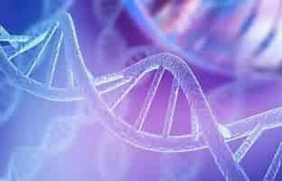 Murieron sus padres adoptivos, buscó su identidad biológica y la encontró con un ADN