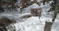Parques Nacionales alerta por nevadas en la región