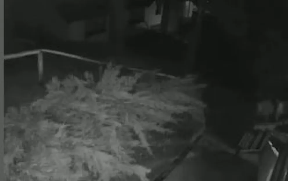 Video: ¿Un fantasma en hotel de Villa Catedral?