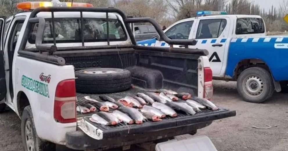 Realizaron 15 multas por pescar en lugares no autorizados