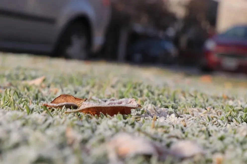 Mañanas congeladas: algunos tips para evitar accidentes