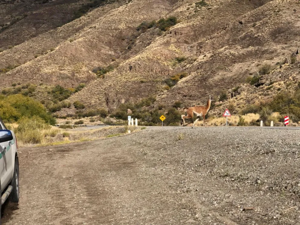 Respetar la cartelería instalada en Ruta 237