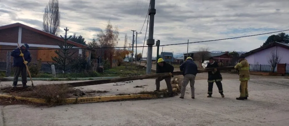 Cortó un pino sin avisar a Servicios Públicos y dejó medio pueblo sin energía