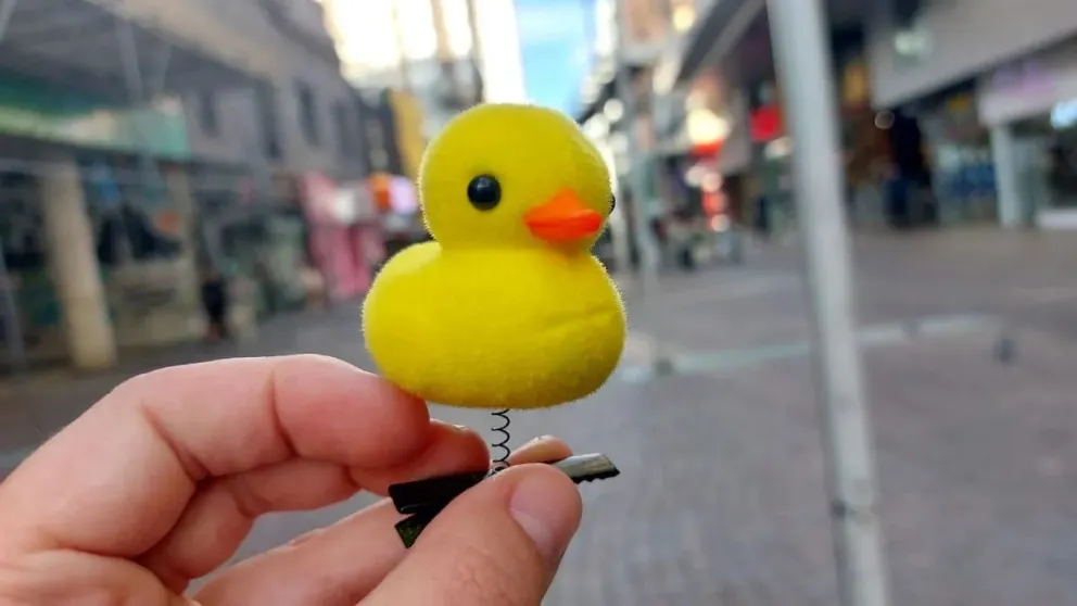 Patitos en la cabeza: de qué se trata esta moda que es viral