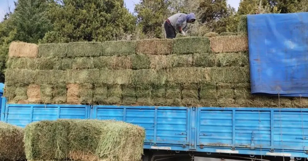 Ya realizaron 6 viajes de entrega de alimentos ganaderos a productores aislados