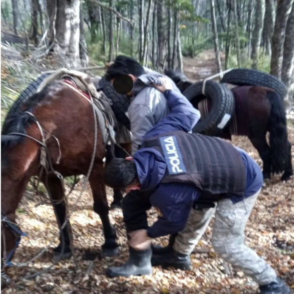 Transportaban mercadería a caballo en la frontera