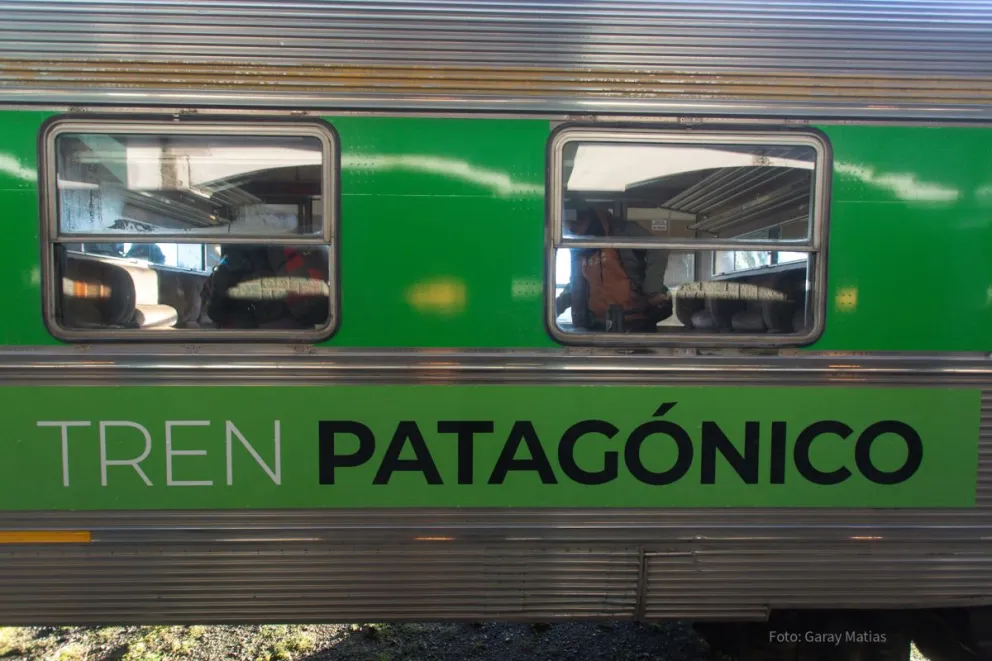 Nuevamente un animal provocó problemas en el recorrido del tren. Foto de Matías Garay.