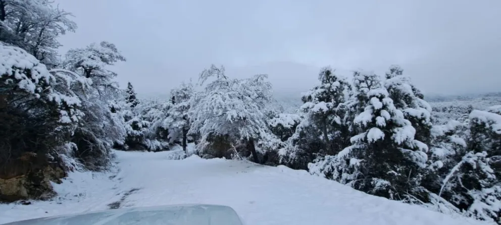 Tras la nevada, así está el camino a cerro Tronador