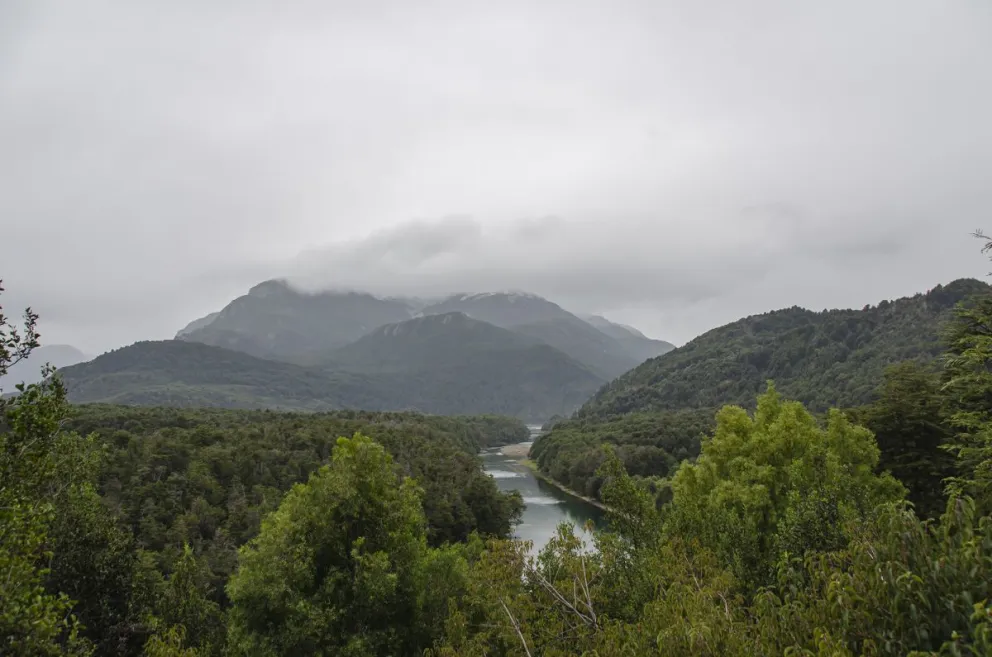Las fuerzas federales se encuentran cerca de desalojar el Parque Nacional Los Alerces.