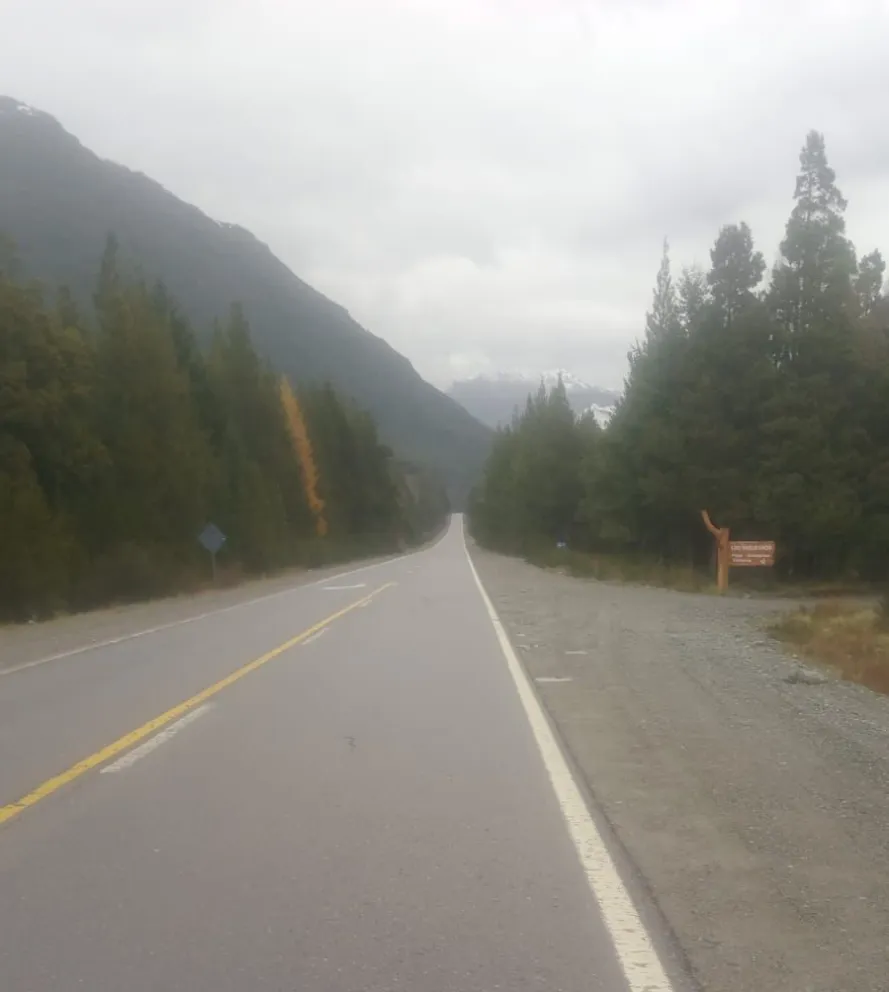 Advierten por visibilidad reducida en Ruta 40 por bancos de niebla en la zona de El Foyel