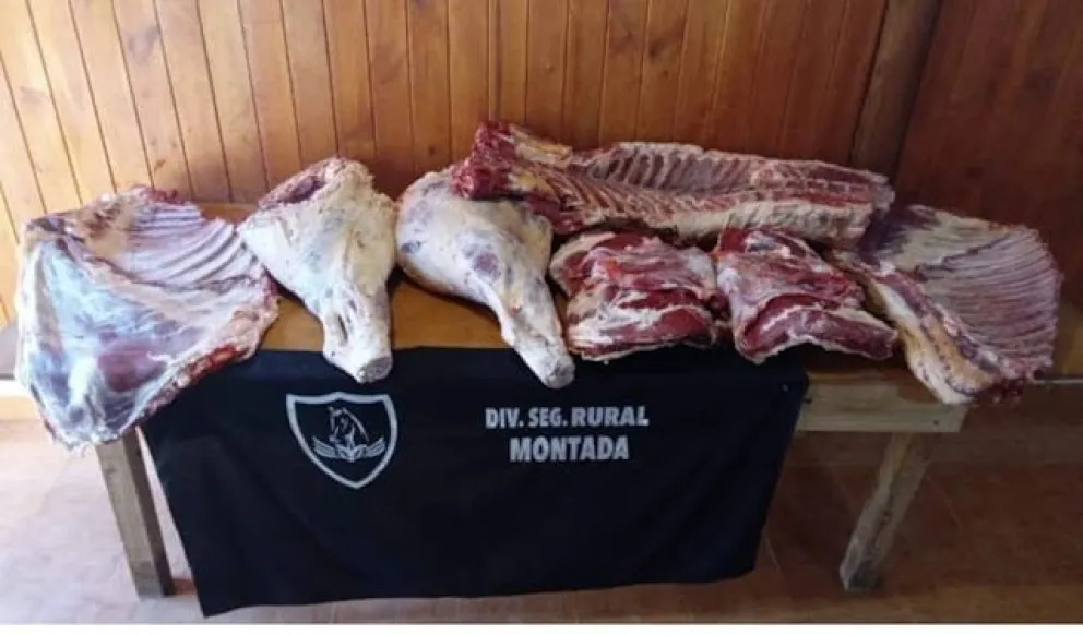 Decomisaron carne transportada de forma irregular en la Ruta Nacional 40