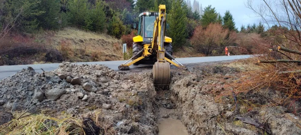 Piden reducir la velocidad por tareas de conservación entre Bariloche y El Bolsón