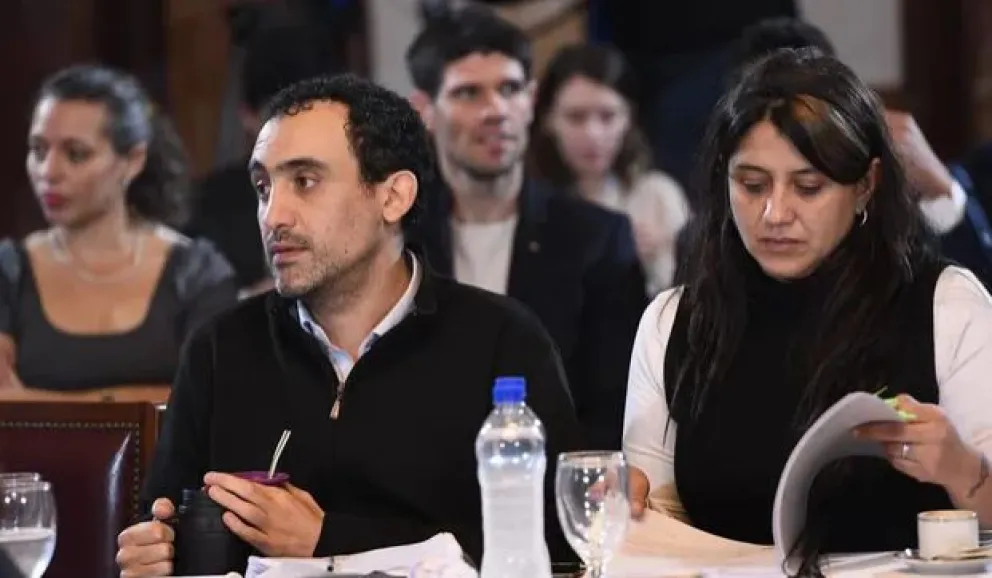 Ley Bases: senadora santacruceña denunció amenazas contra sus hijos para instarla a votar a favor